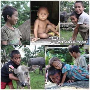 SUMBA by Borndeo (2)